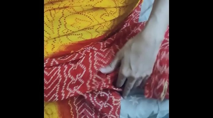 Indian Hot Sexy Saree Aunty